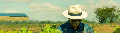 tabacalera-diaz-cabrera-1